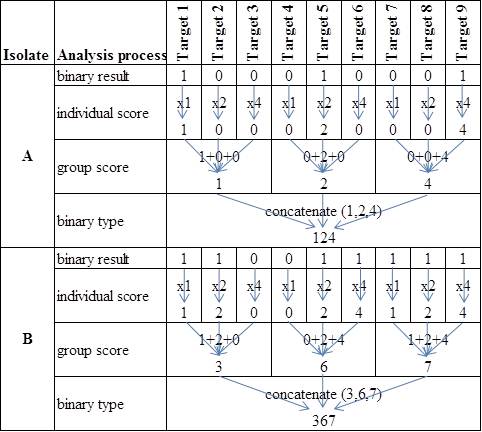 MBiT Score